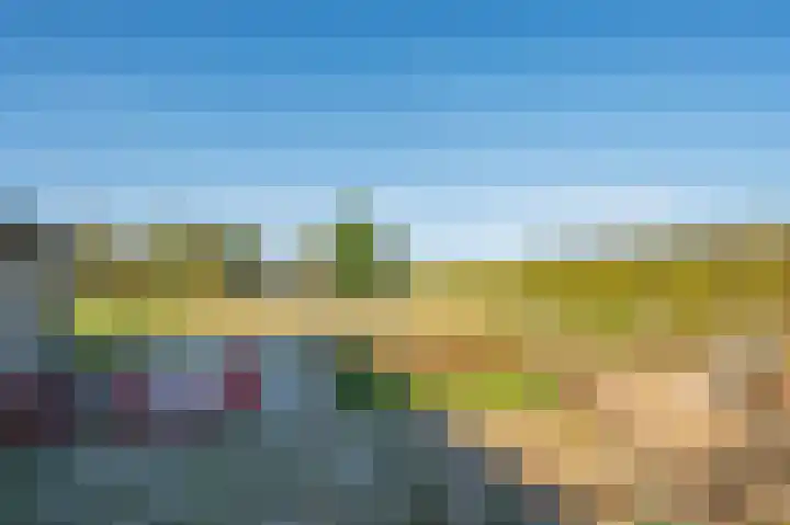 Blaktdijk 27 Kronenberg thumbnail 44