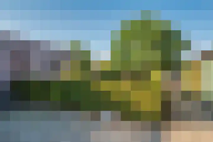 Blaktdijk 27 Kronenberg thumbnail 45