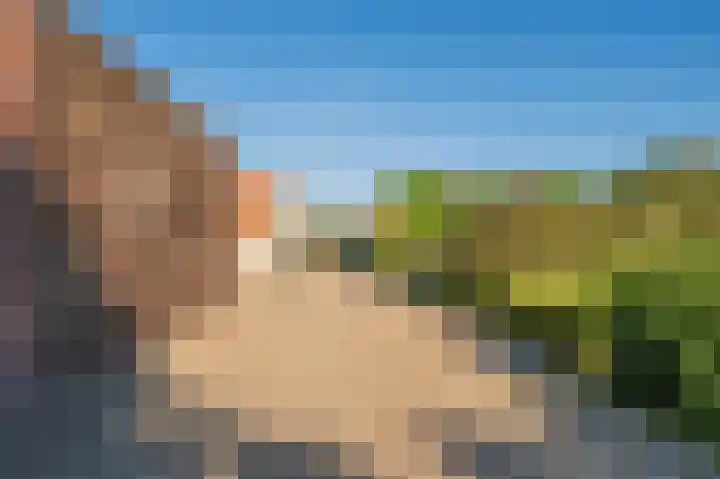 Blaktdijk 27 Kronenberg thumbnail 46