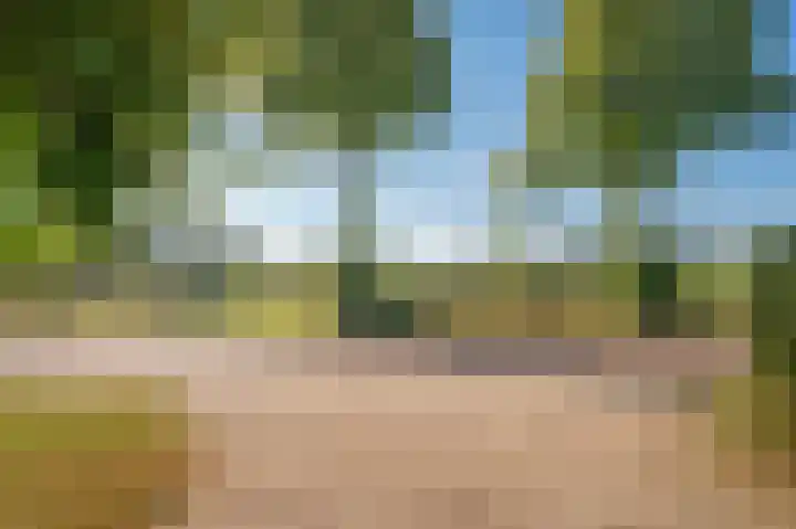 Blaktdijk 27 Kronenberg thumbnail 47