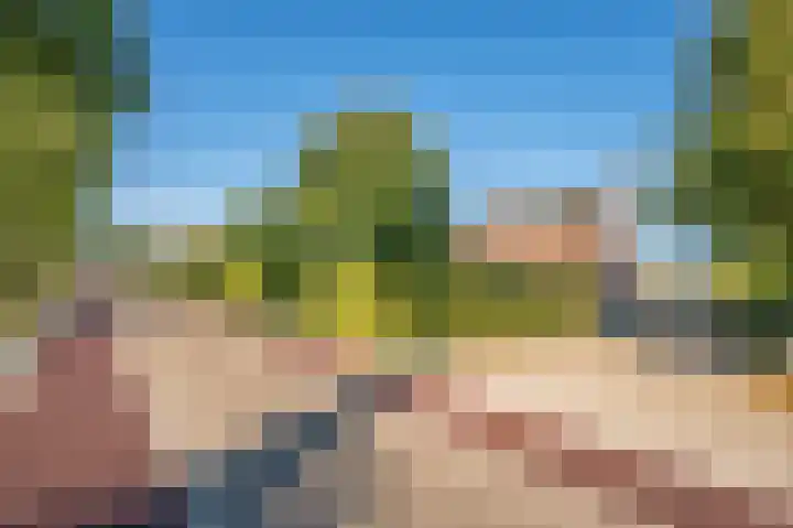 Blaktdijk 27 Kronenberg thumbnail 49
