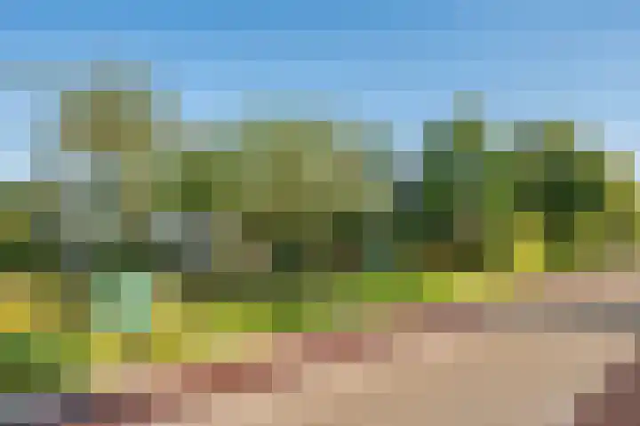 Blaktdijk 27 Kronenberg thumbnail 51