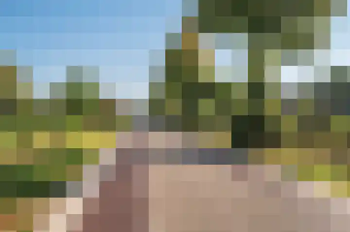 Blaktdijk 27 Kronenberg thumbnail 52