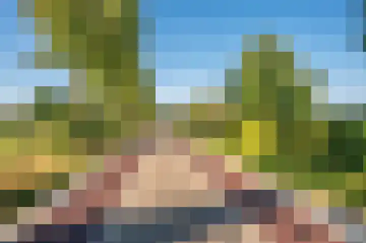 Blaktdijk 27 Kronenberg thumbnail 53