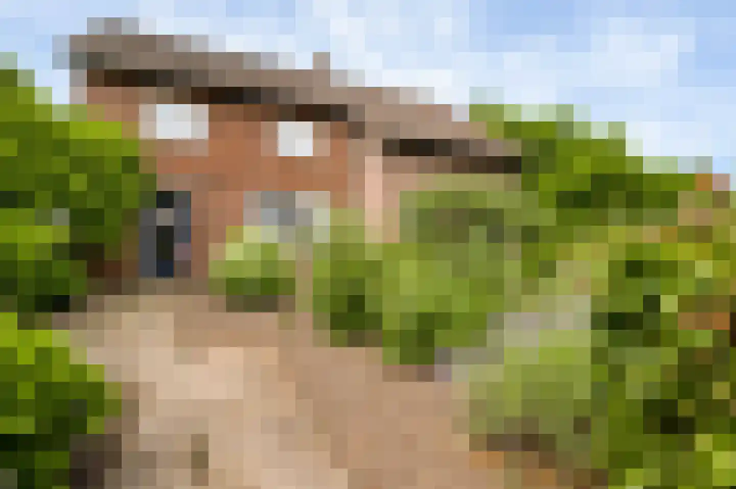 Blaktdijk 80 Sevenum thumbnail 11