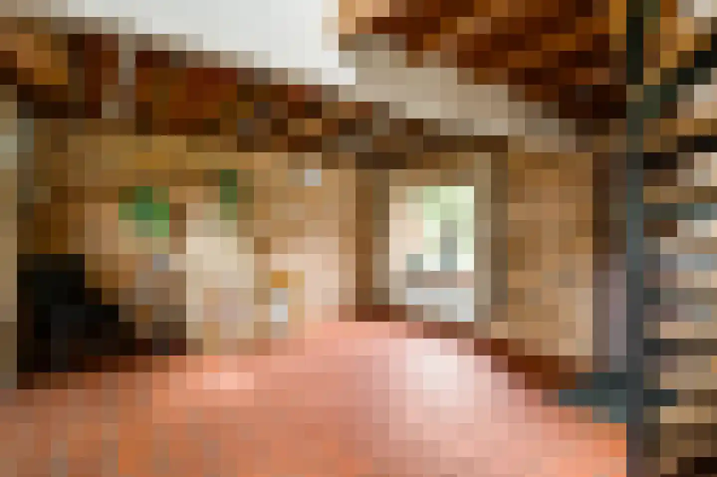 Blaktdijk 80 Sevenum thumbnail 31