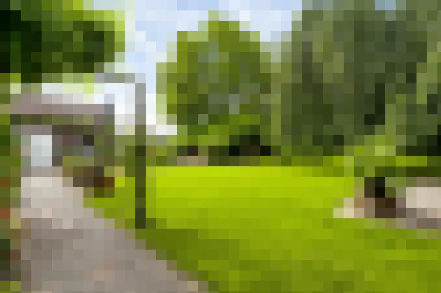 Blaktdijk 80 Sevenum thumbnail 35