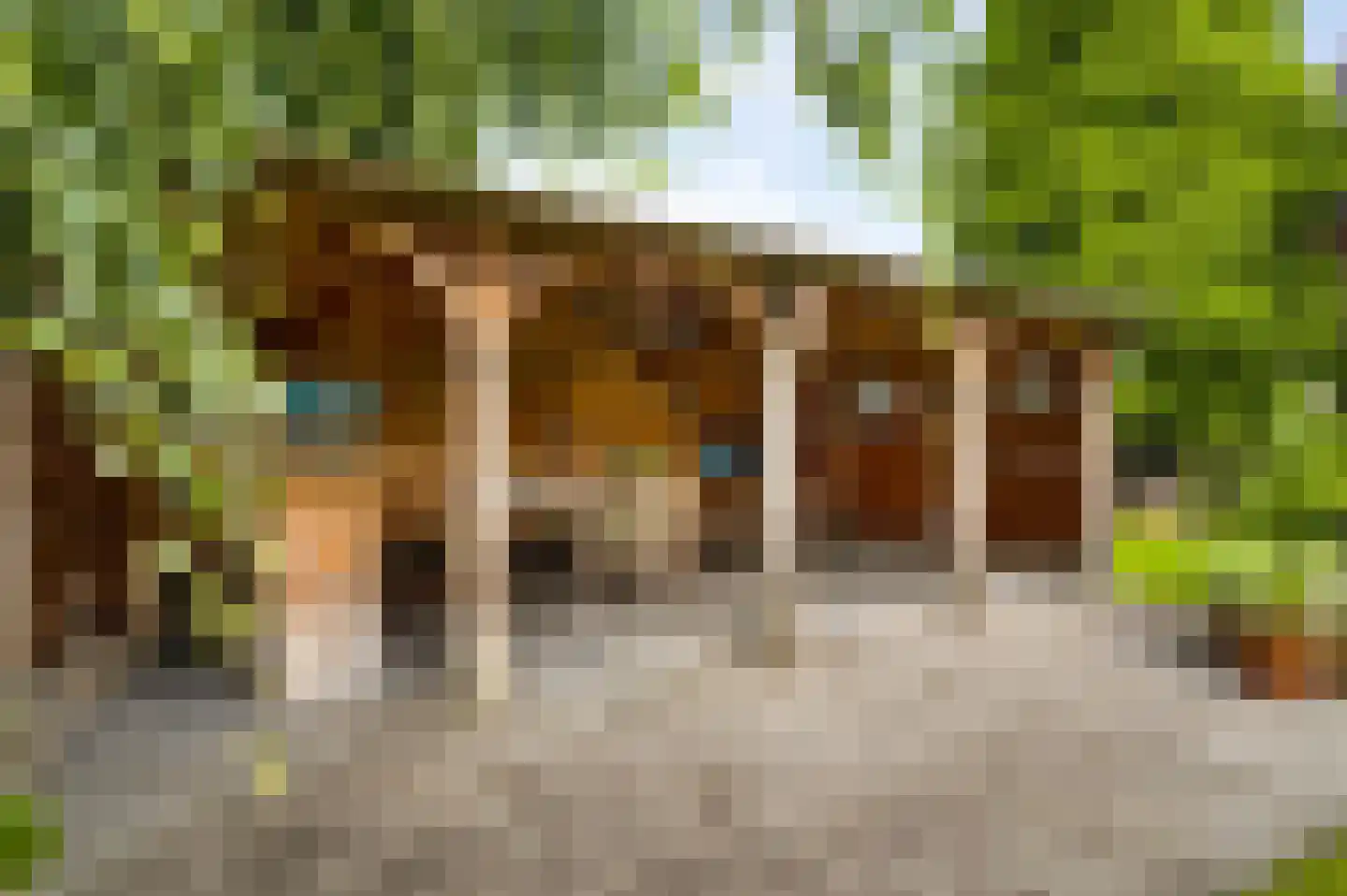 Blaktdijk 80 Sevenum thumbnail 37