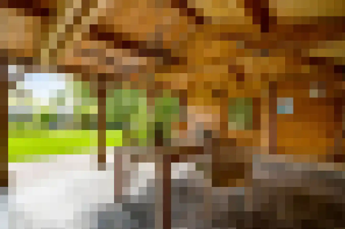 Blaktdijk 80 Sevenum thumbnail 38