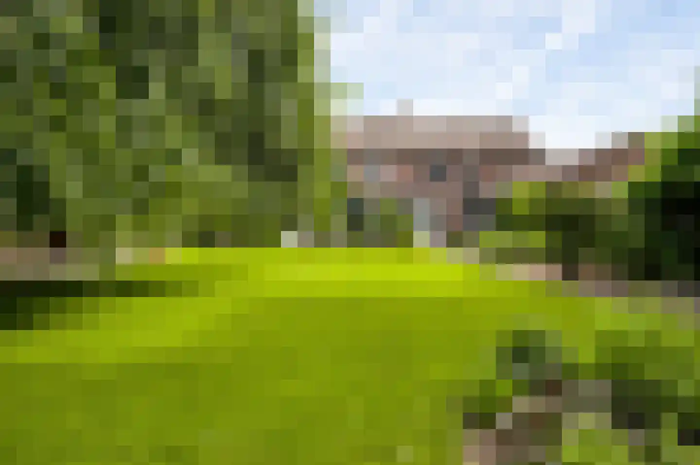 Blaktdijk 80 Sevenum thumbnail 42
