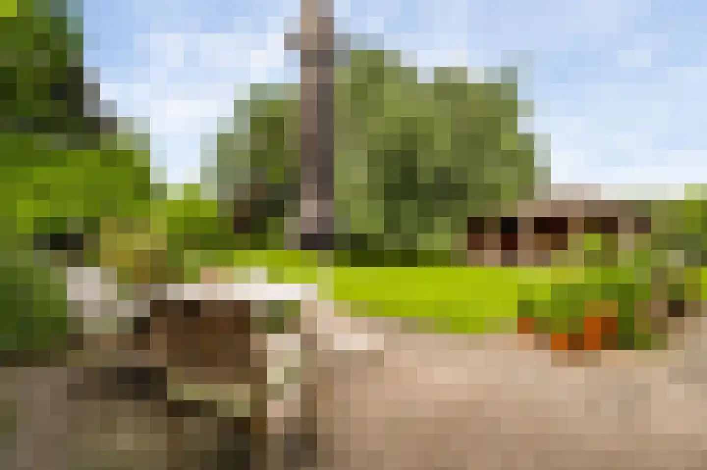 Blaktdijk 80 Sevenum thumbnail 5