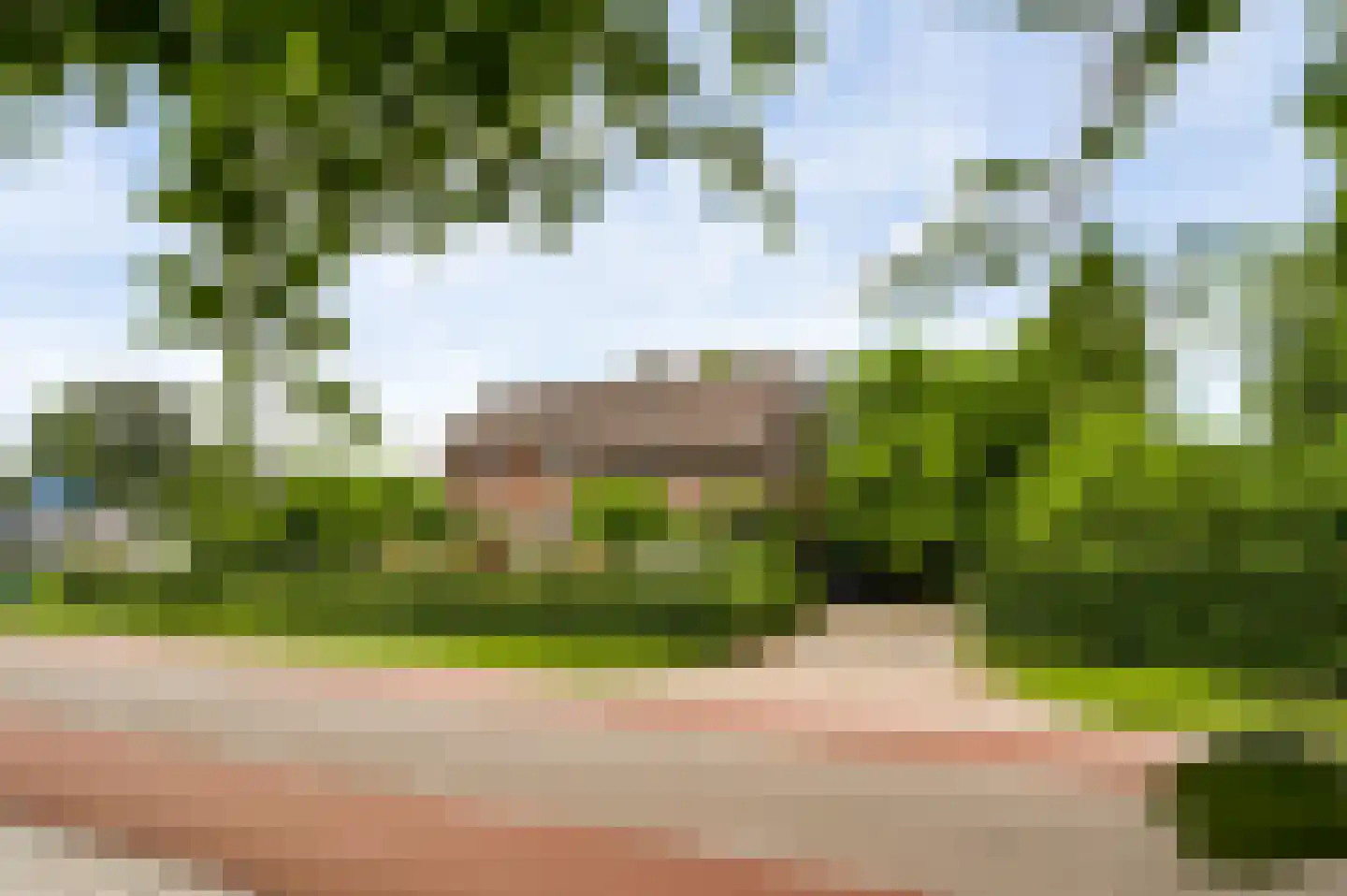 Blaktdijk 80 Sevenum thumbnail 7