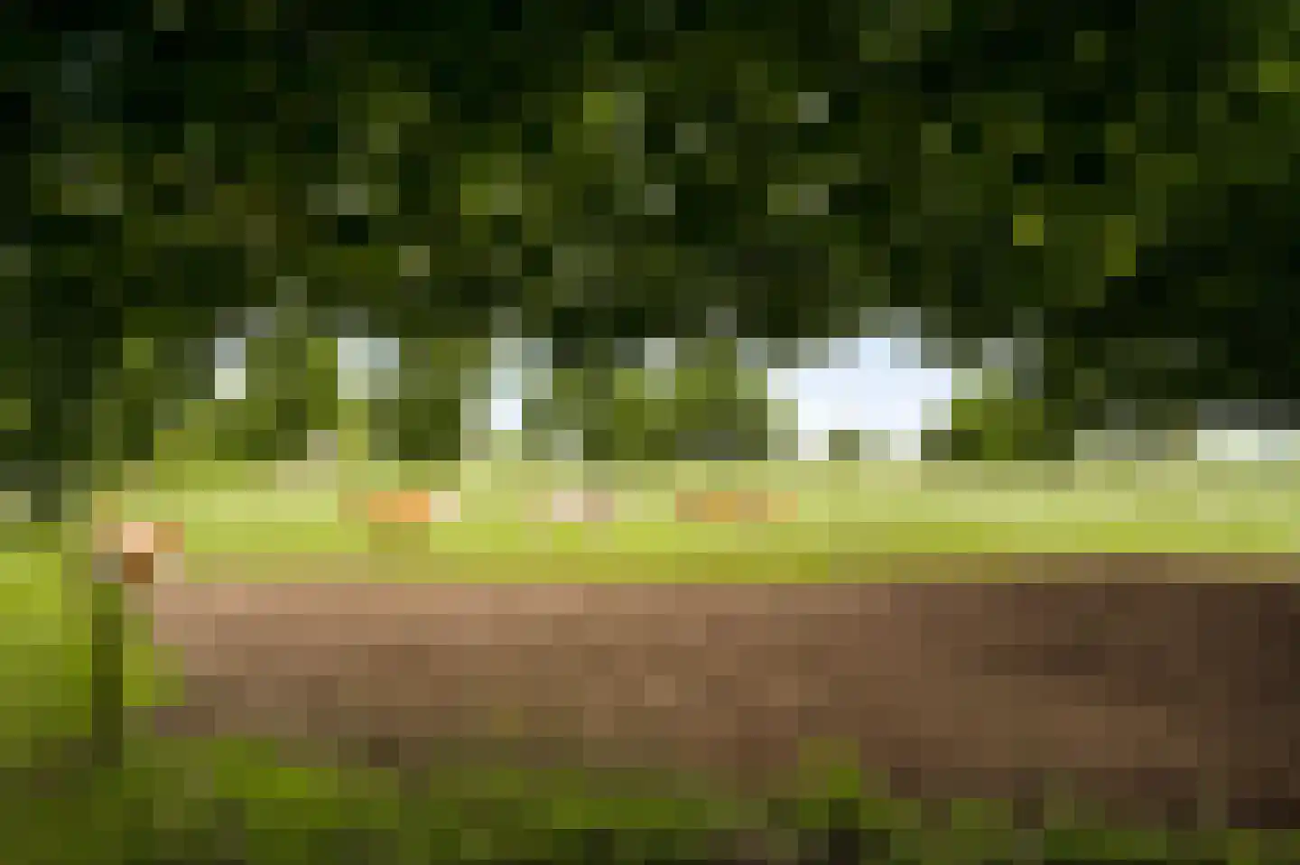 Blaktdijk 80 Sevenum thumbnail 9