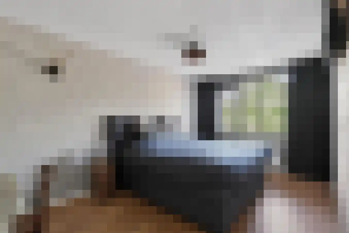 Blamanstraat 3 's-Gravenzande thumbnail 15