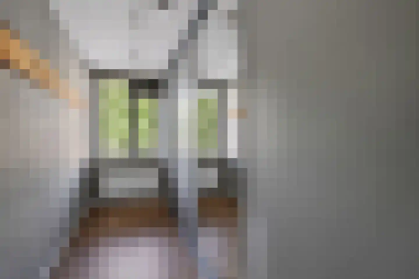 Blamanstraat 3 's-Gravenzande thumbnail 21
