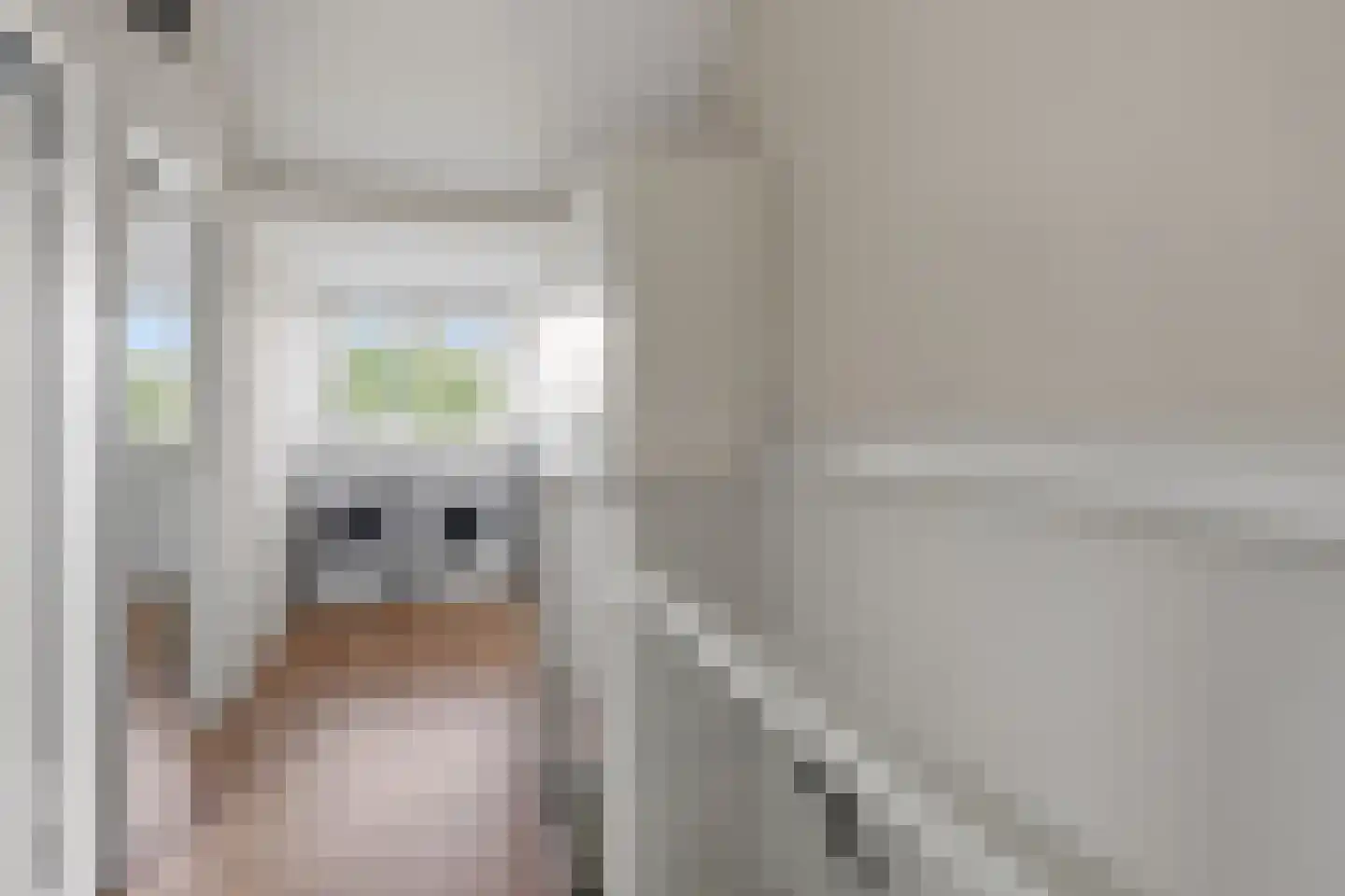 Blamanstraat 3 's-Gravenzande thumbnail 23