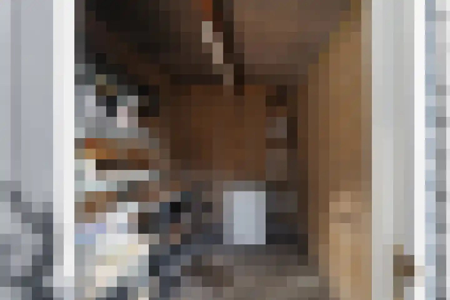 Blamanstraat 3 's-Gravenzande thumbnail 25