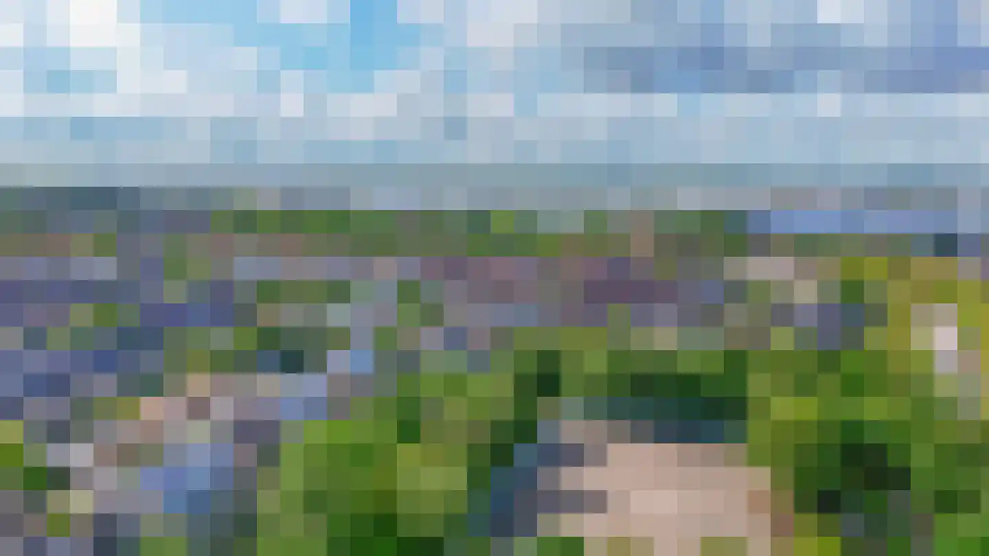 Blamanstraat 3 's-Gravenzande thumbnail 30