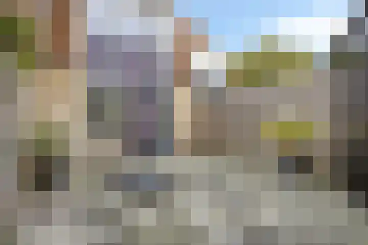 Blancefloerstraat 12 Alkmaar thumbnail 23