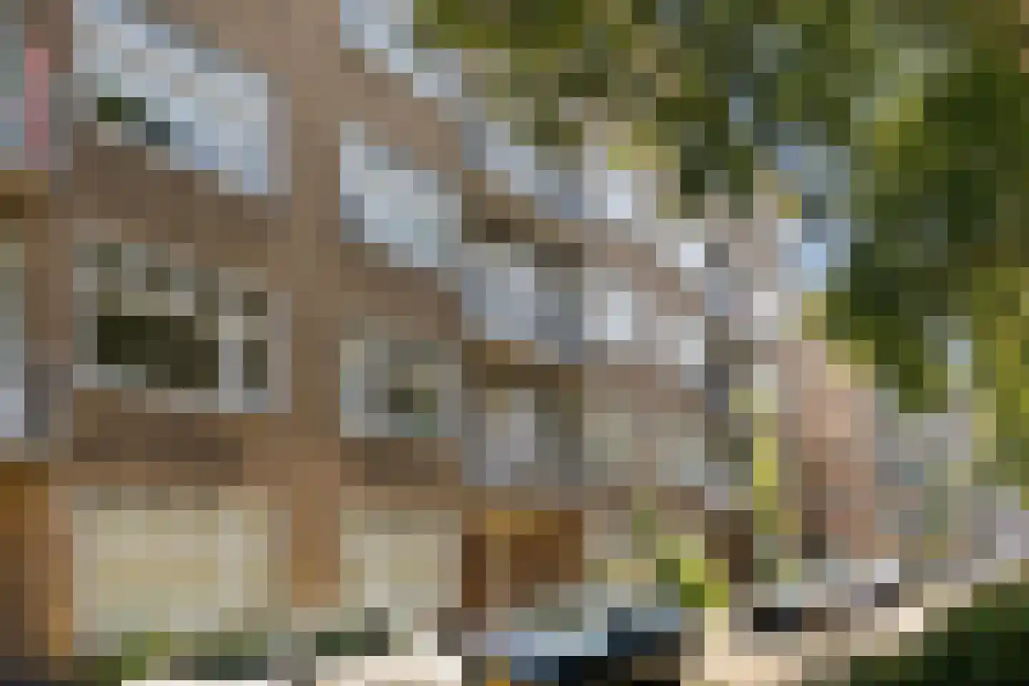 Blancefloorstraat 15 H Amsterdam thumbnail 5