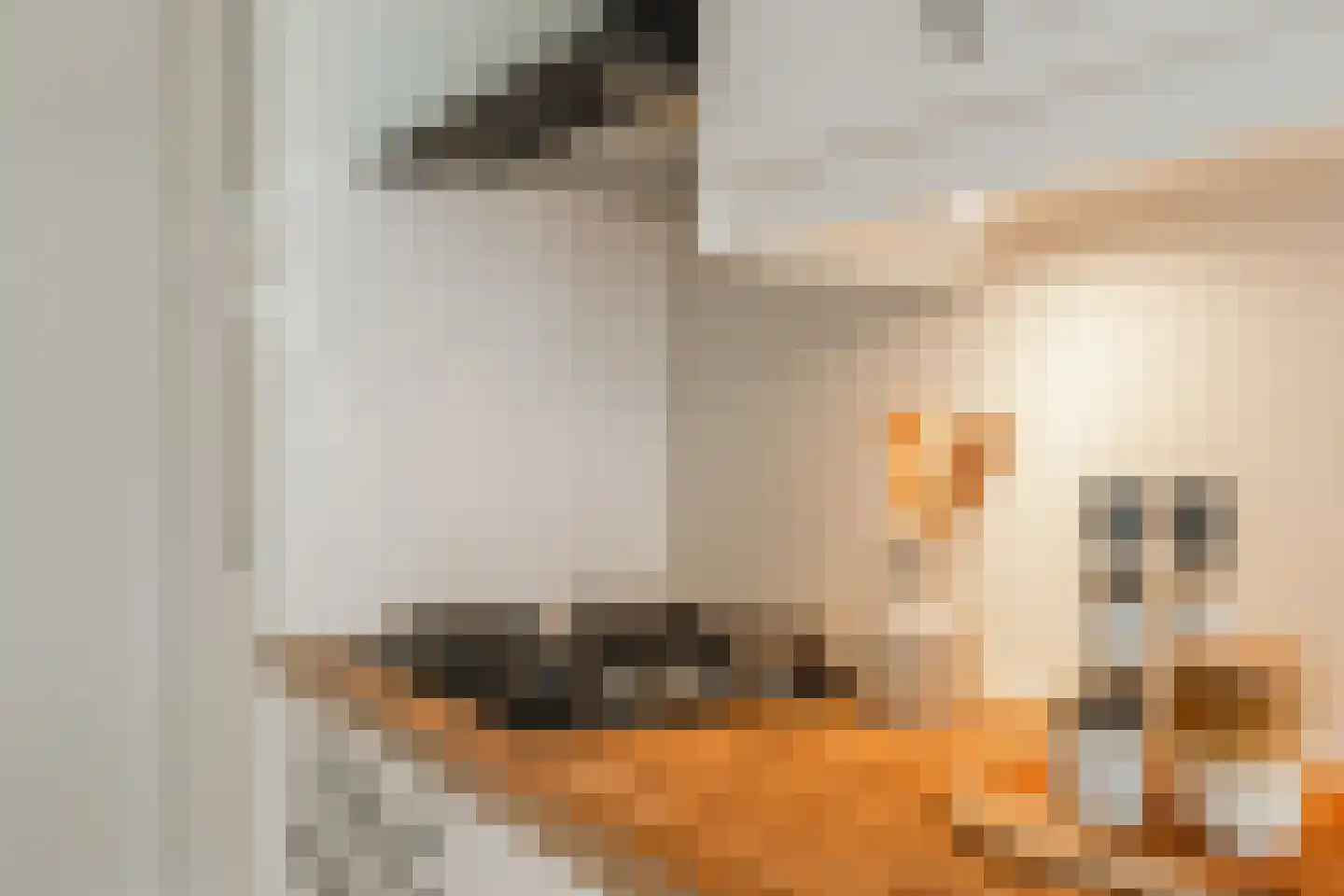 Blancefloorstraat 17 1 Amsterdam thumbnail 13