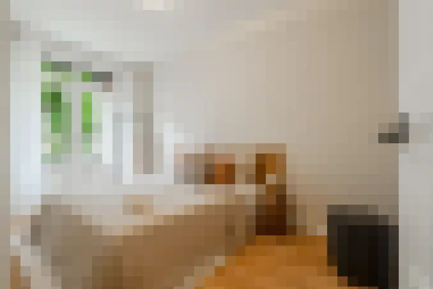 Blancefloorstraat 17 1 Amsterdam thumbnail 16