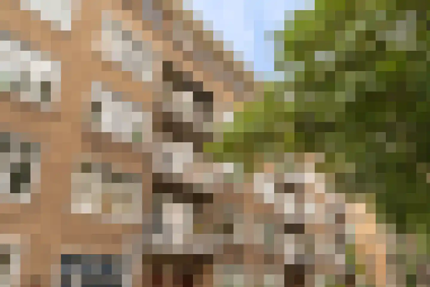 Blancefloorstraat 17 1 Amsterdam thumbnail 23