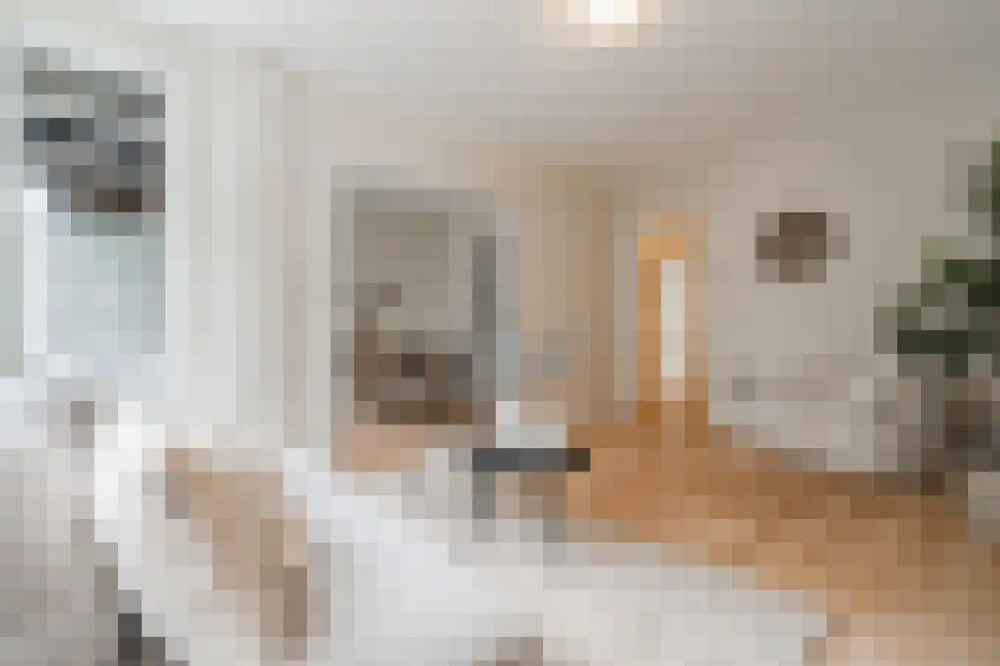 Blancefloorstraat 17 1 Amsterdam thumbnail 5