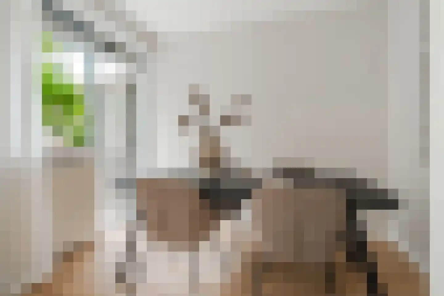 Blancefloorstraat 17 1 Amsterdam thumbnail 7