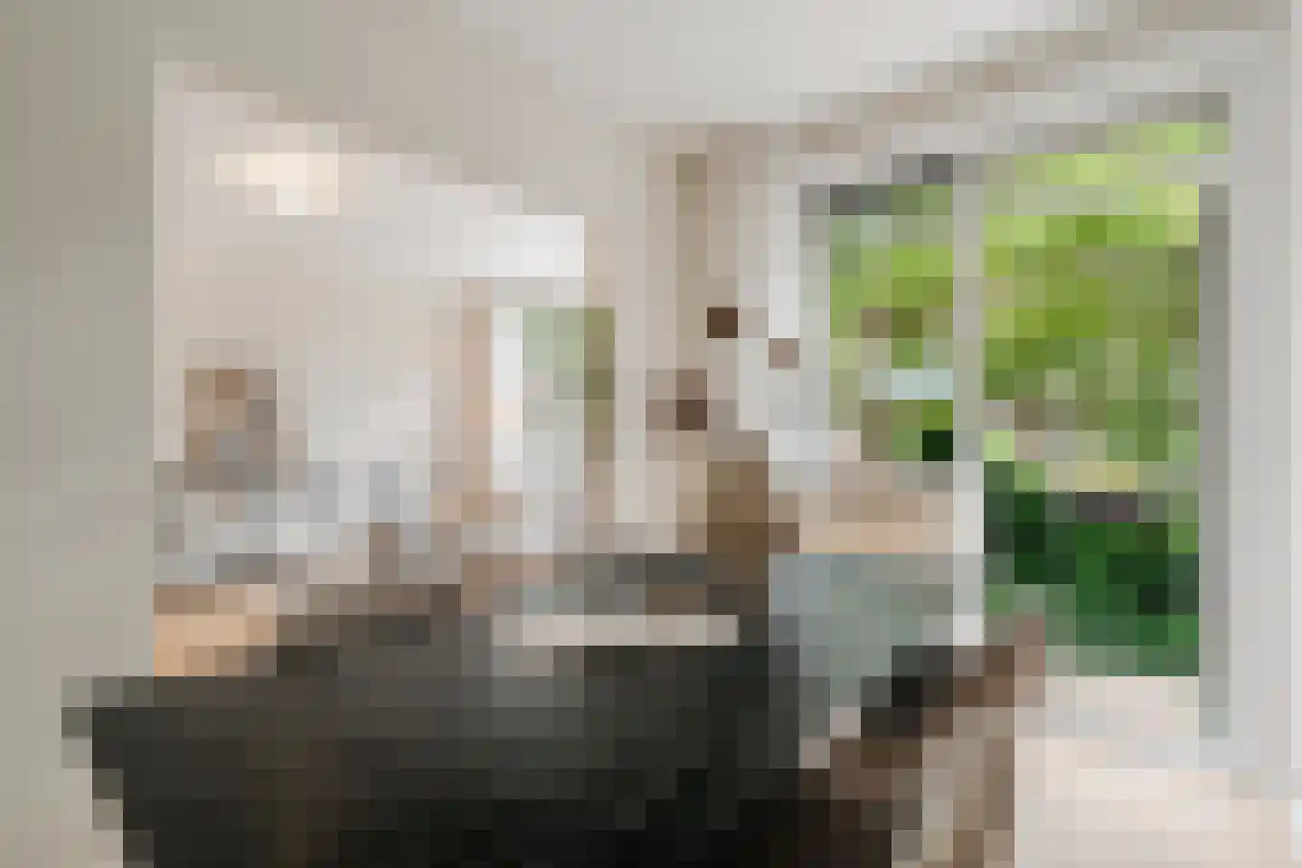 Blancefloorstraat 17 1 Amsterdam thumbnail 8