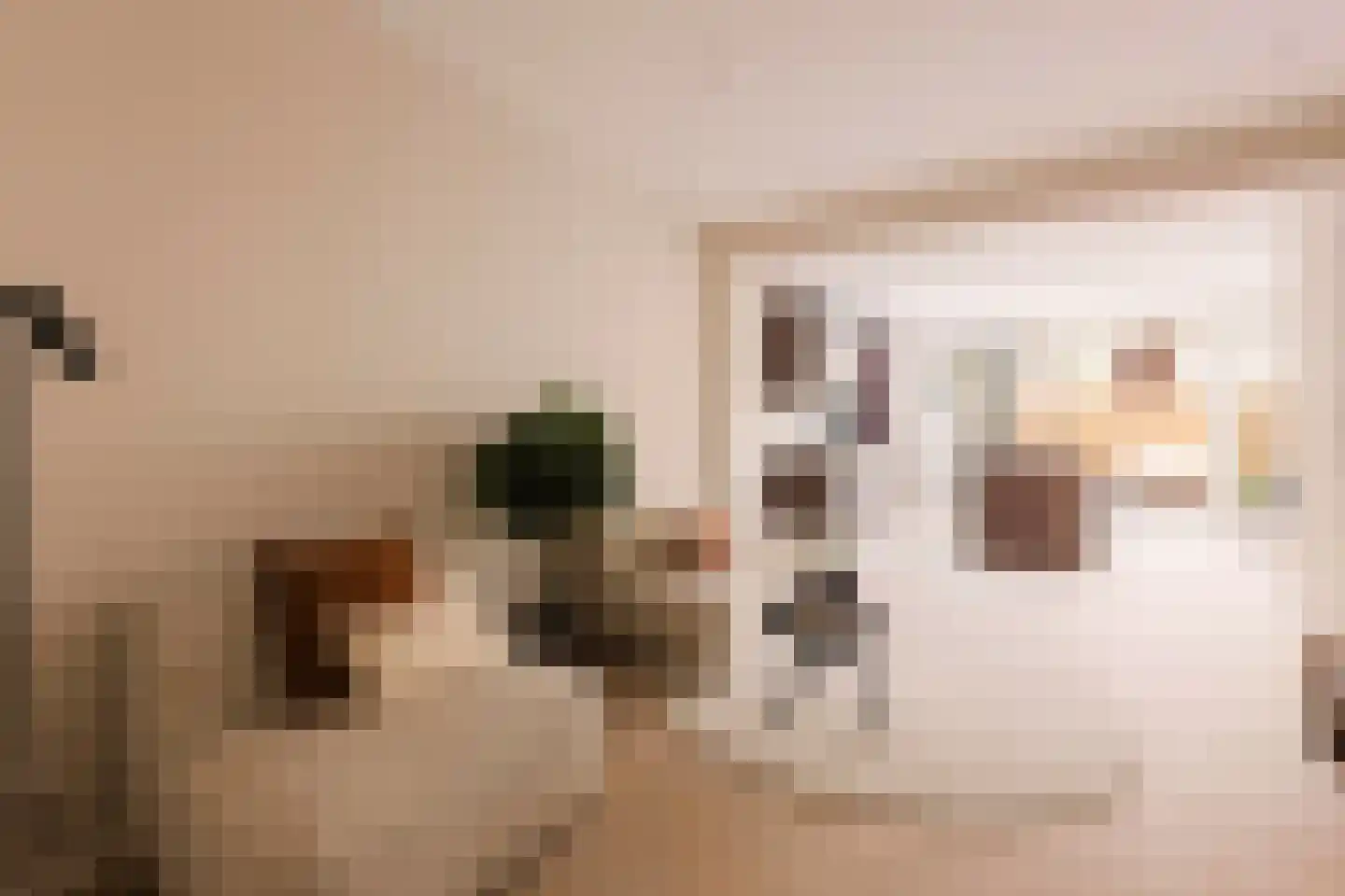 Blancefloorstraat 19 1 Amsterdam thumbnail 11
