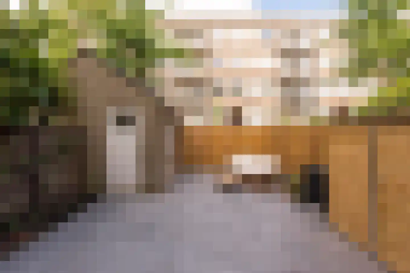 Blancefloorstraat 19 1 Amsterdam thumbnail 15