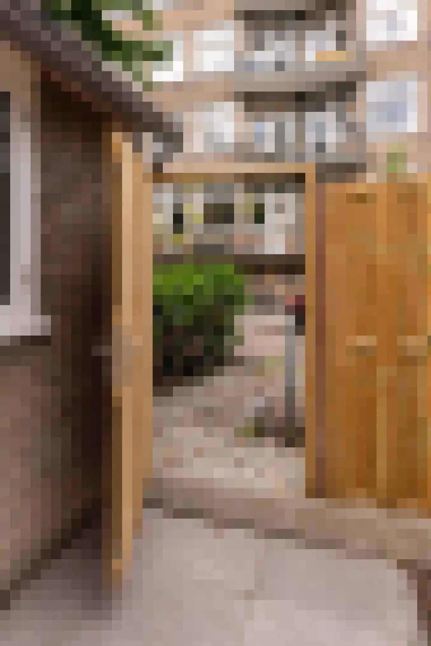 Blancefloorstraat 19 1 Amsterdam thumbnail 17