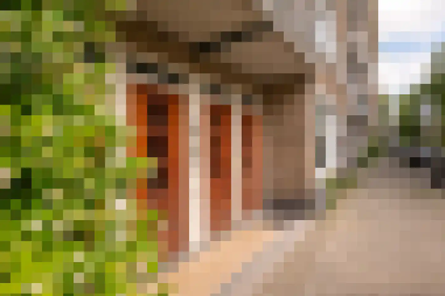 Blancefloorstraat 19 1 Amsterdam thumbnail 4