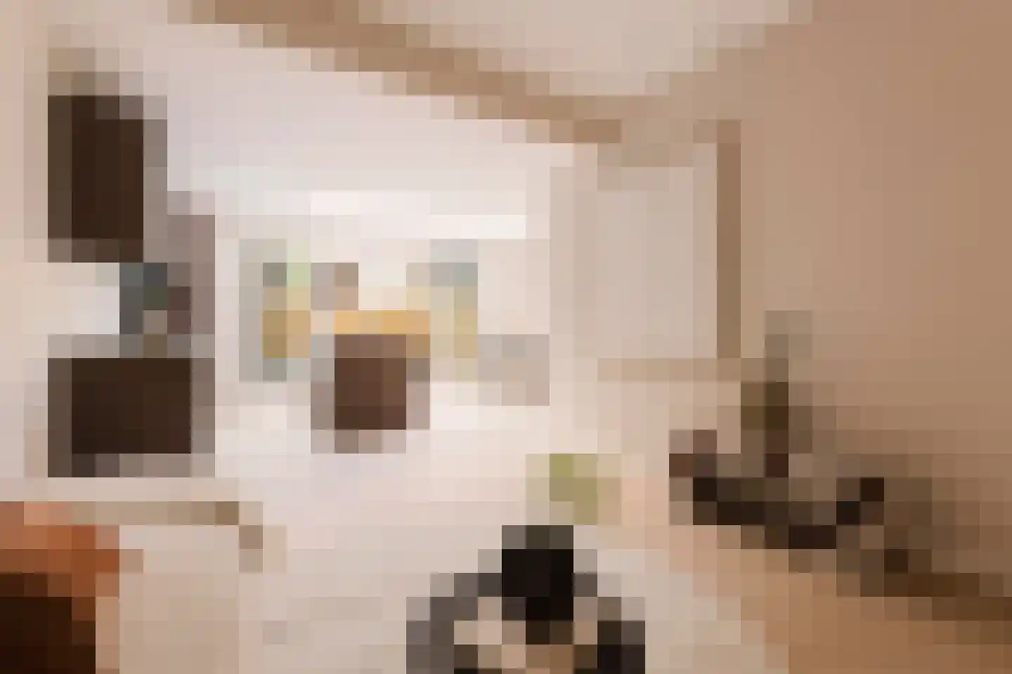 Blancefloorstraat 19 1 Amsterdam thumbnail 6
