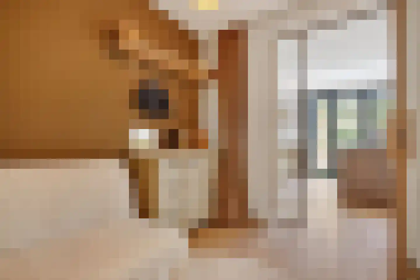 Blancefloorstraat 20 3 Amsterdam thumbnail 17