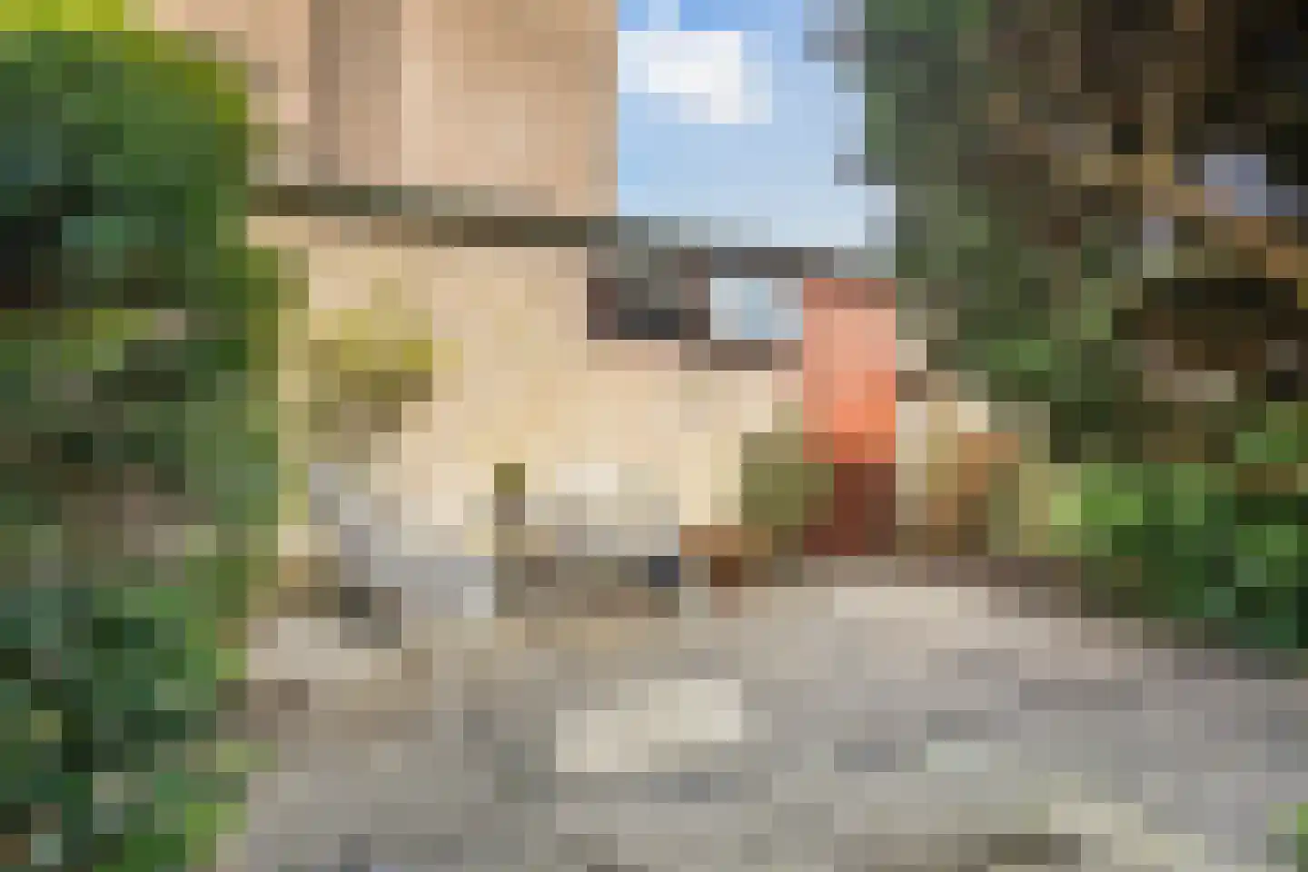 Blanckerhofweg 38 Alkmaar thumbnail 43