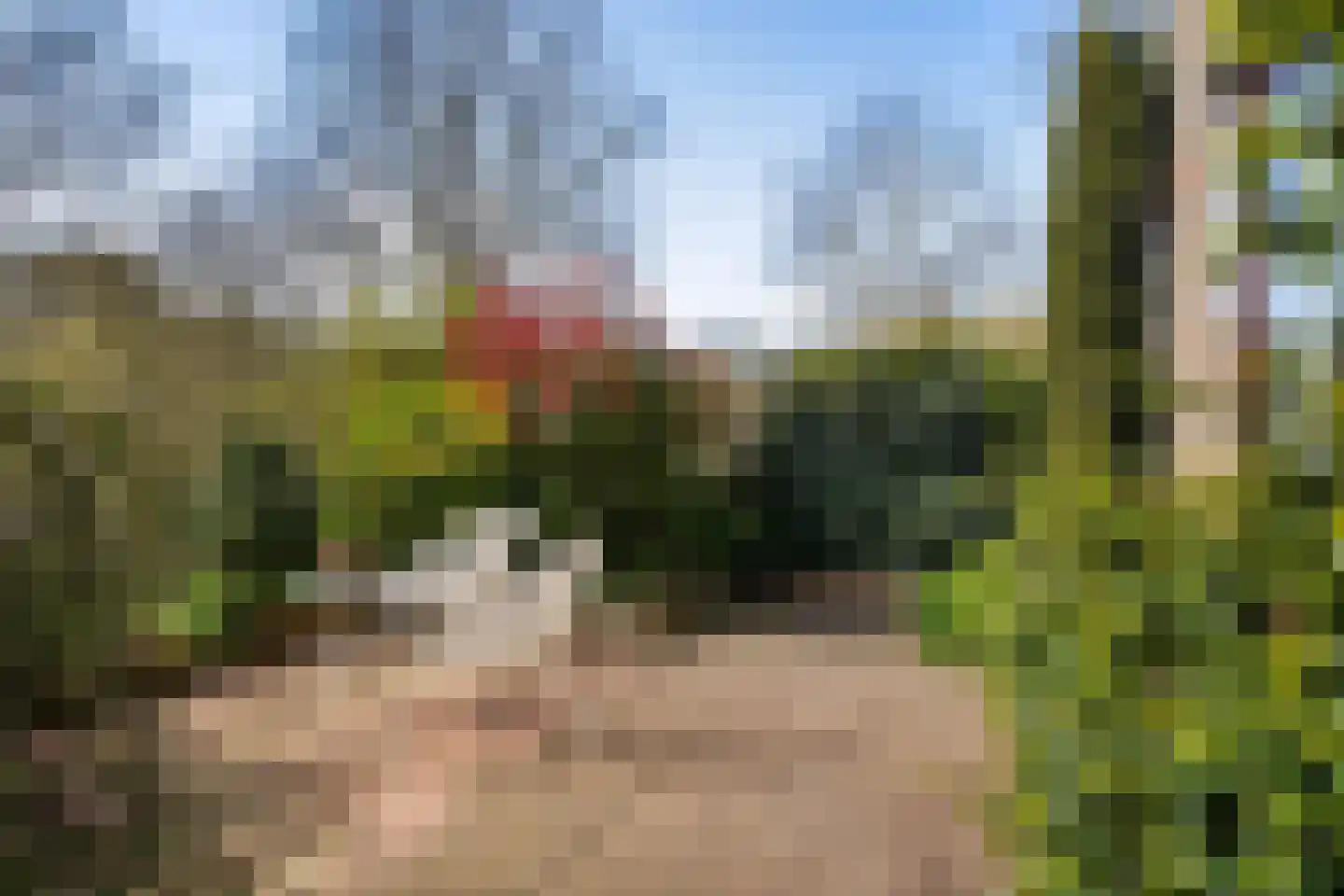 Blanckerhofweg 38 Alkmaar thumbnail 8