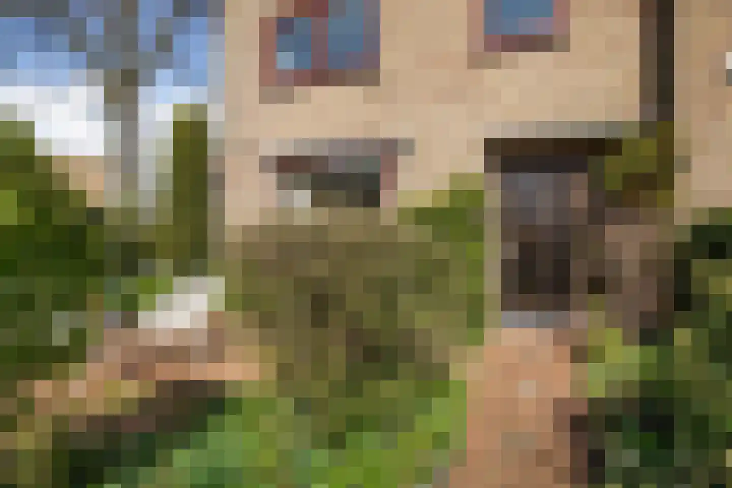 Blanckerhofweg 38 Alkmaar thumbnail 9