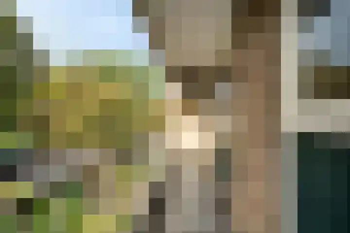 Blanckerhofweg 8 Alkmaar thumbnail 19