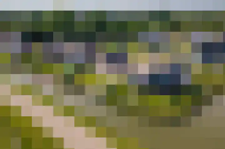 Blanckestyn 29 Meteren