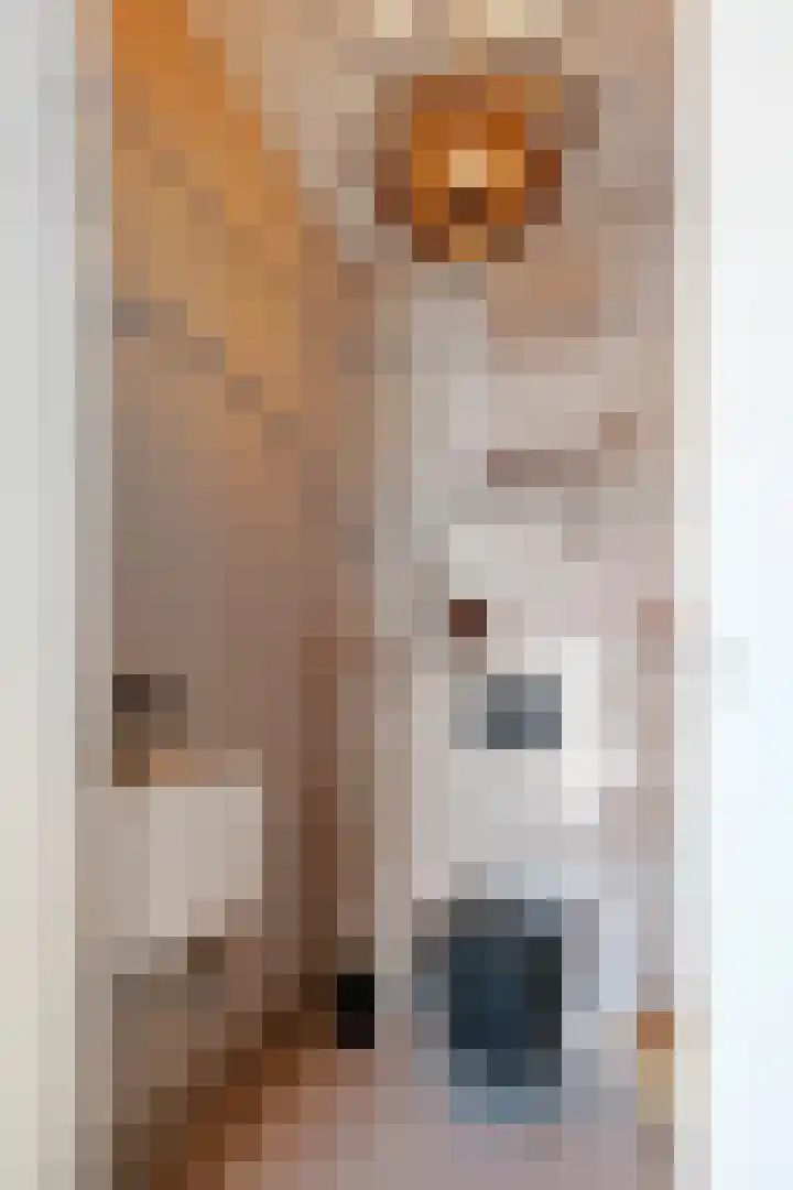 Blanckestyn 29 Meteren thumbnail 11