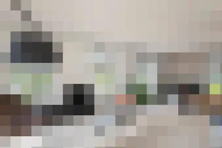 Blanckestyn 29 Meteren thumbnail 13