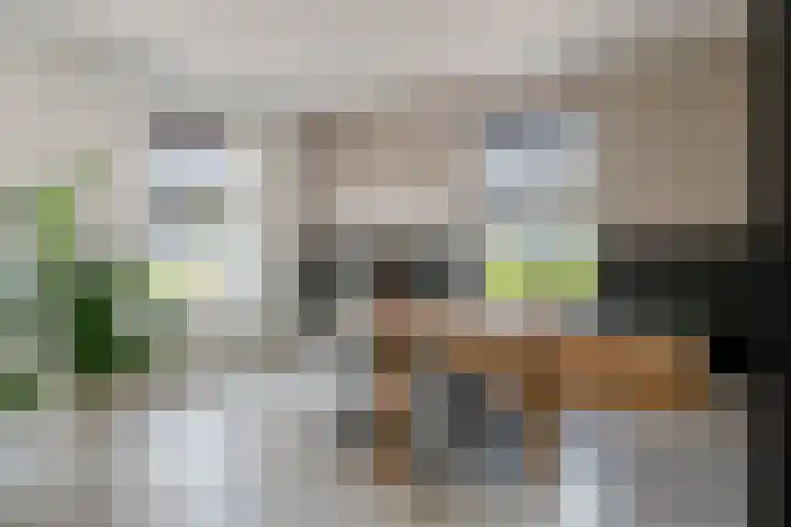 Blanckestyn 29 Meteren thumbnail 16