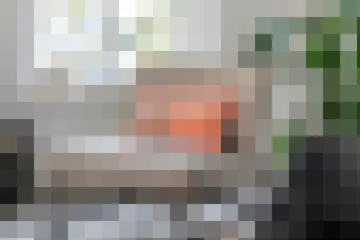 Blanckestyn 29 Meteren thumbnail 18