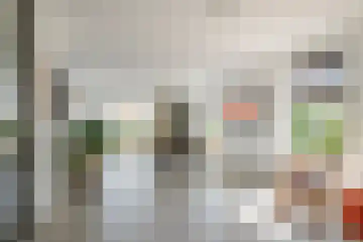 Blanckestyn 29 Meteren thumbnail 19