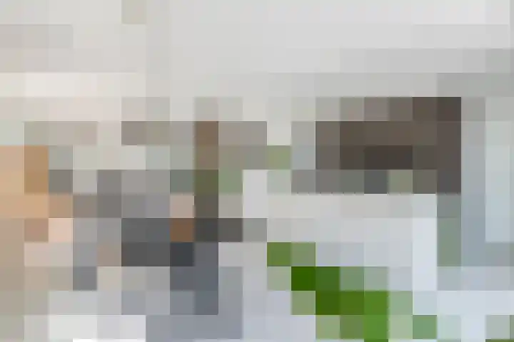 Blanckestyn 29 Meteren thumbnail 23