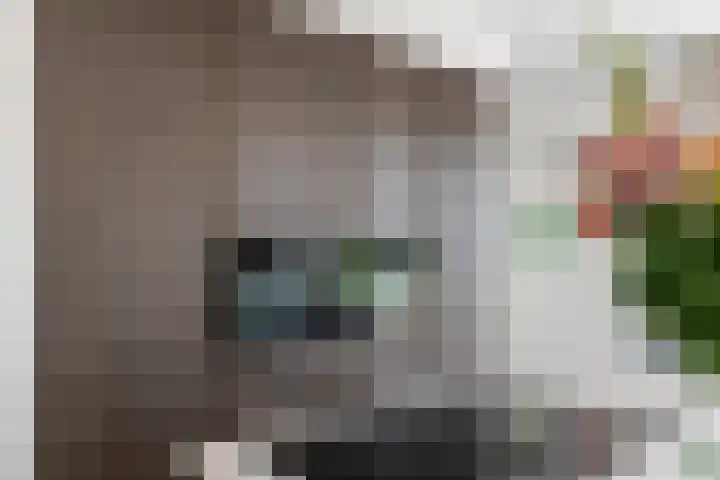 Blanckestyn 29 Meteren thumbnail 25