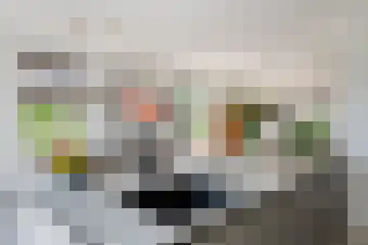 Blanckestyn 29 Meteren thumbnail 27