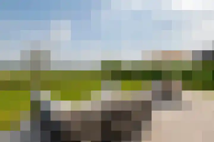 Blanckestyn 29 Meteren thumbnail 30